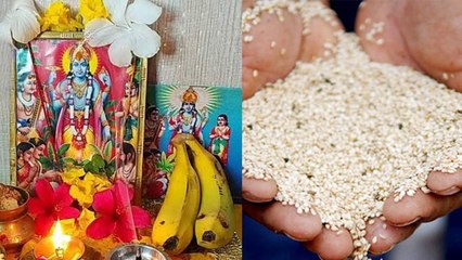Shattila Ekadashi 2024: षटतिला एकादशी के दिन क्या करना चाहिए क्या नहीं | Boldsky