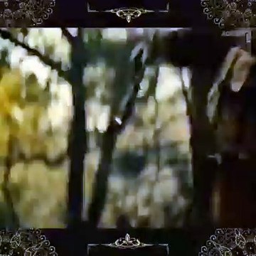 Critically Acclaimed Films on Netflix in 2023