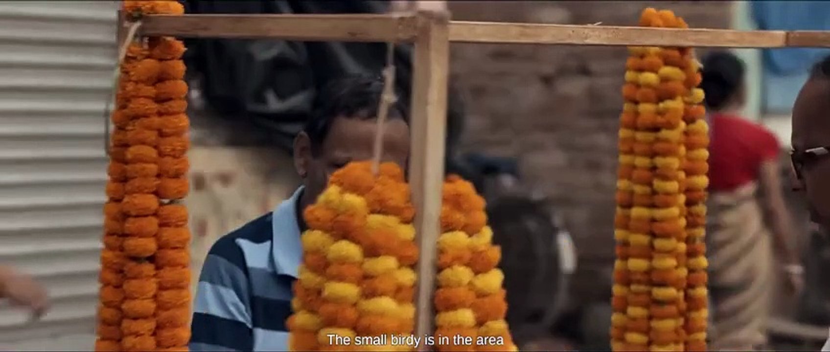Hubba (2024)  part-2