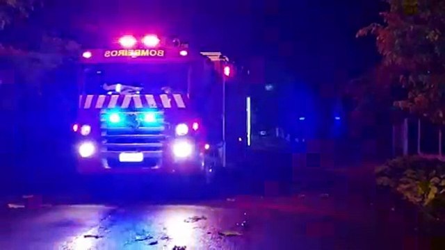 Bombeiros cortam árvores e galhos caídos durante a madrugada