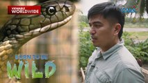 Meet “Cobra King,” a man claiming he's immune to the venom of king cobras | Born to be Wild