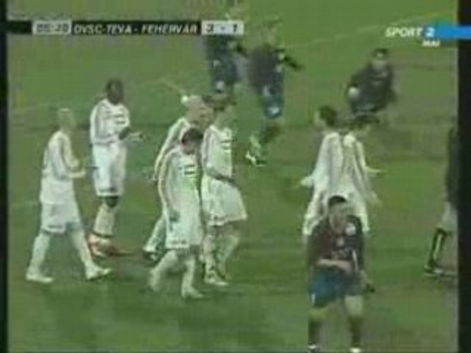 N-ai vazut deastea(autogol unguresc..