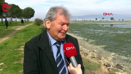 Çakalburnu Lagünü, marullarla kaplandı: Kuş cenneti için uyarı