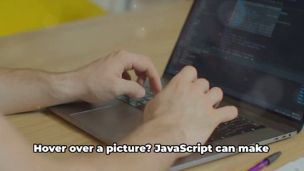 Web Development 101 :  A Beginner's Guide