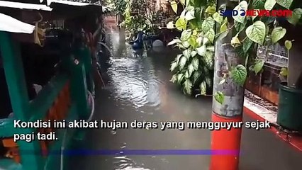 Download Video: Kali Meluap, Banjir 50-60 Cm Rendam Permukiman di Kebon Jeruk