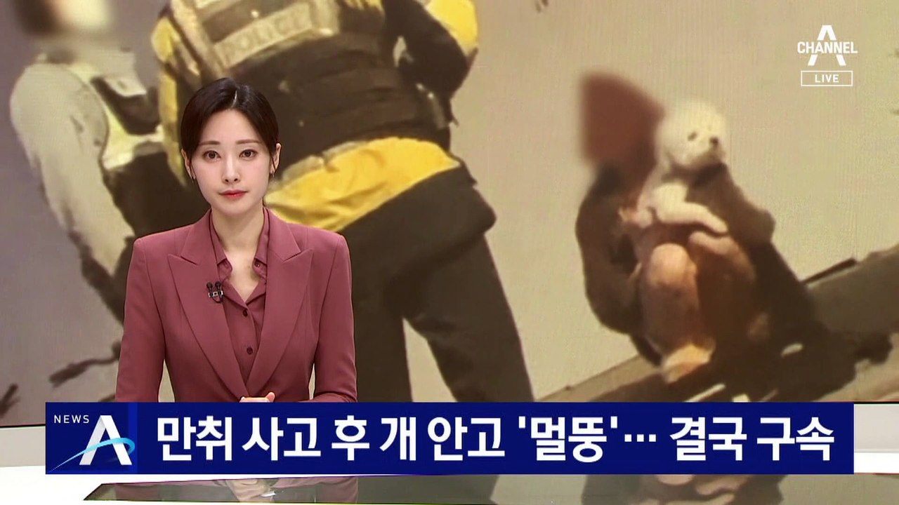 만취 사고 후 개 안고 ‘멀뚱’…결국 구속