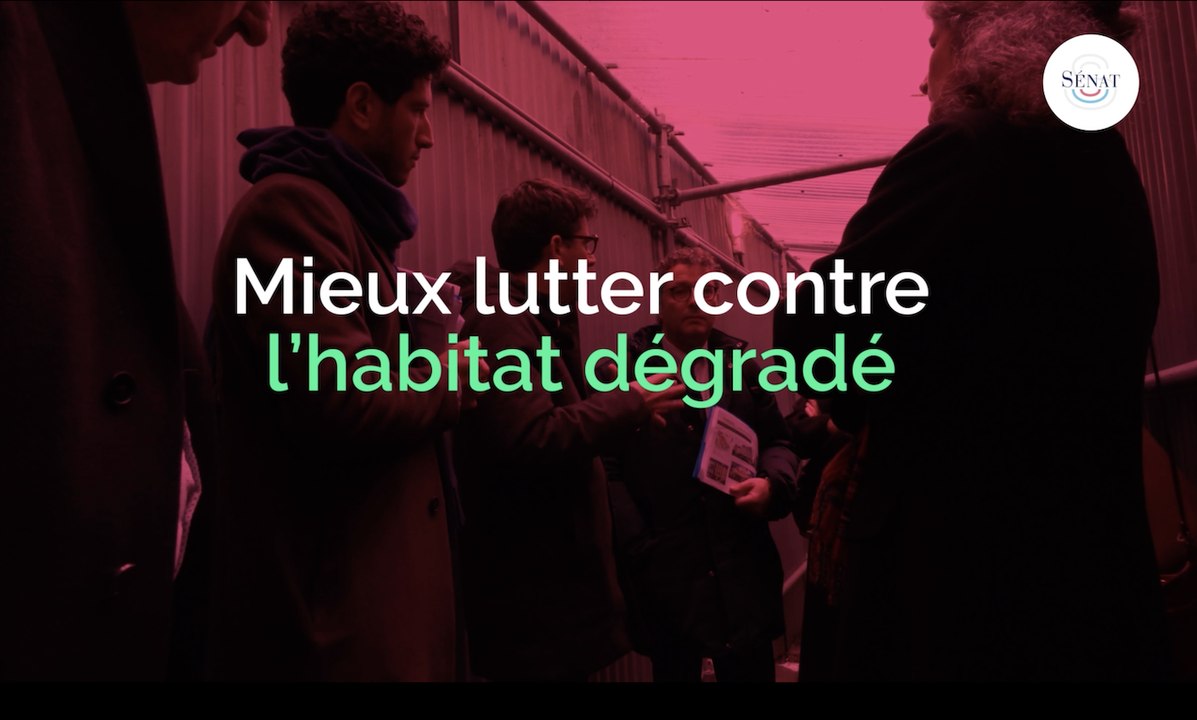 Mieux lutter contre l'habitat dégradé : des sénateurs en visite à Saint-Denis