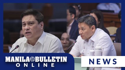 Senate not falling into deadline ‘trap’ when discussing Cha-cha eco provisions