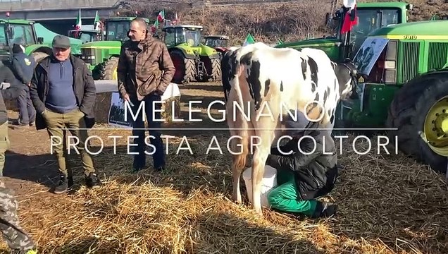 Melegnano, i trattori in marcia verso Milano: la protesta degli agricoltori sulla Binasca e sulla via Emilia
