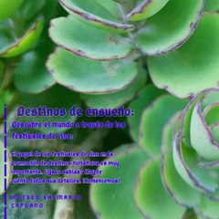 Moises Shemaria Capuano| Destinos de ensueño (parte 1)