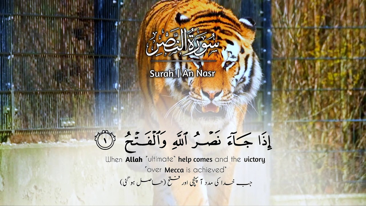Surah An-Nasr | Beautiful Quran Post