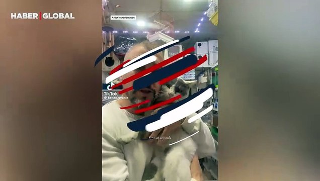 Sahibi ile uzun hava söyleyen kedi kahkahaya boğdu: ''Çok uzatıyorsun ama ya''