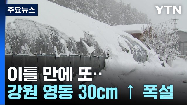 강원 영동 또 30cm 넘는 폭설..무거운 '습설' 피해 주의 / YTN