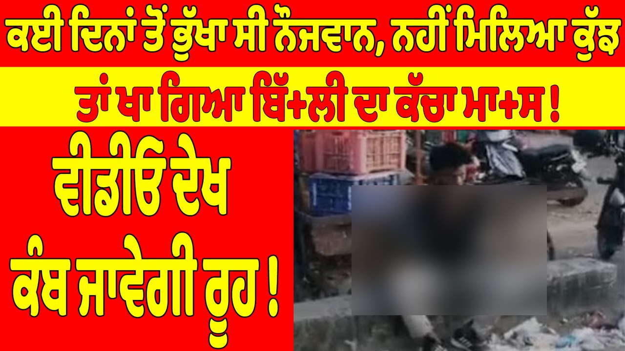 ਕਈ ਦਿਨਾਂ ਤੋਂ ਭੁੱਖਾ ਸੀ ਨੌਜਵਾਨ, ਨਹੀਂ ਮਿਲਿਆ ਕੁੱਝ, ਤਾਂ ਖਾ ਗਿਆ ਬਿੱ+ਲੀ ਦਾ ਕੱਚਾ ਮਾ+ਸ! |OneIndia Punjabi