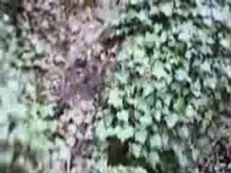 RAID EURE 2008 - RUN & BIKE