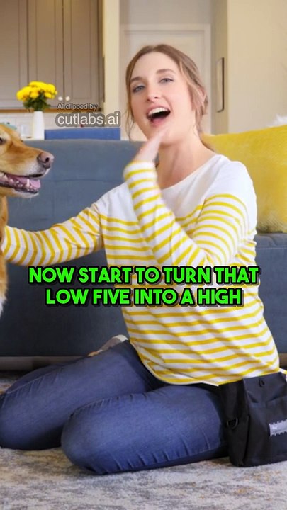 Article: Fun and Easy Tricks to Teach Your Dog (2)