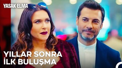 Ender'in Büyük Aşkı Yeniden İstanbul'da - Yasak Elma 38. Bölüm