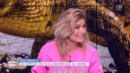 Vos animaux : les espèces les plus dangereuses au monde !