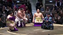 Hatsu Basho 2024 - Terunofuji Yusho !!!