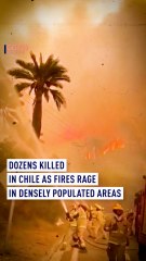 Chile Fires Rage: Valparaiso Under Threat, Lives and Homes at Risk 🚒