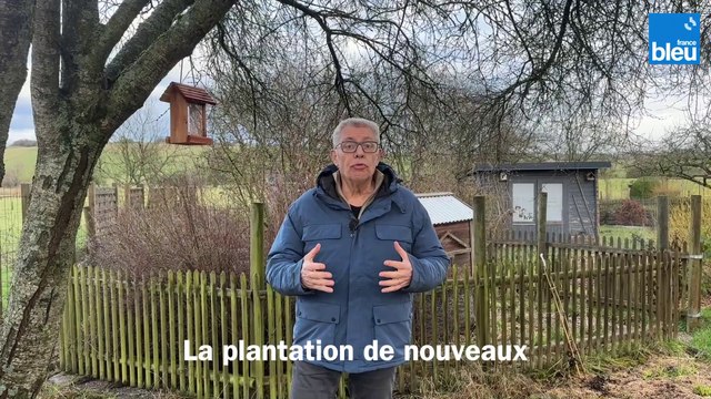 Roland Motte, jardinier : pensez aux oiseaux en choisissant vos arbustes