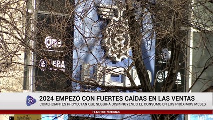 2024 EMPEZÓ CON FUERTES CAÍDAS EN LAS VENTAS