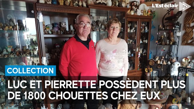 Luc et Pierrette possèdent plus de 1800 chouettes chez eux