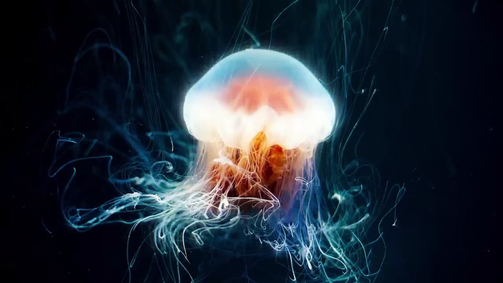 ⁣Ocean - Underwater Ambient Journey - Mysterious Ambient Music For Focus And Concentration