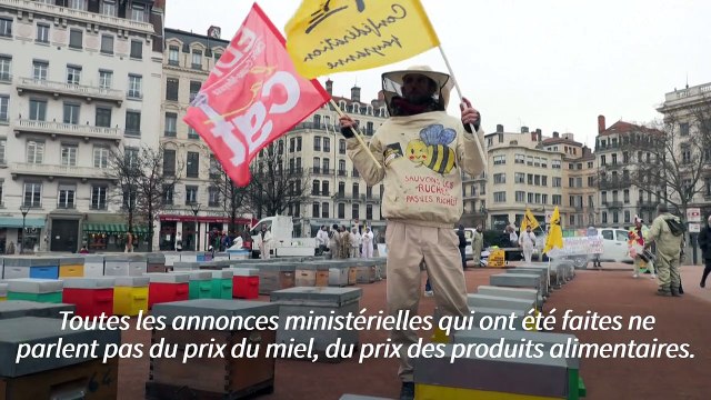 Apiculteurs en colère : des centaines de ruches déployées à Lyon