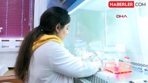 Ankara Üniversitesi Tıp Fakültesi Beyin Tümörüne Karşı Akıllı İlaç Projesinde Faz Aşamasına Geçti