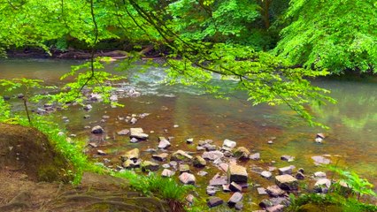 Pamela Storch - Streams of a Brand New Day (Official 4K Music Video)