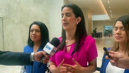 Diputada pide recuento de voto y renuncia del Tribunal Electoral
