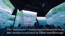 Major London Tourist Attraction Shuts After Less Than A Year