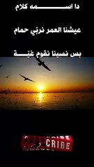 #shorts فاضي شوية 2-2- داسمه كلام- حمزة نمرة