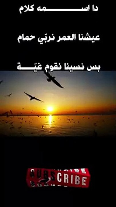 #shorts فاضي شوية 2-2- داسمه كلام- حمزة نمرة