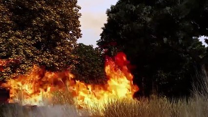 Los incendios forestales