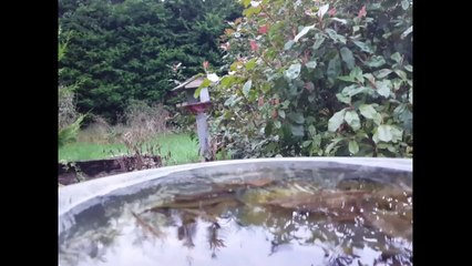 The Misconceptions of Climate Change and What it is in Fact - Young Environmentalists Award 2024 Informational Video