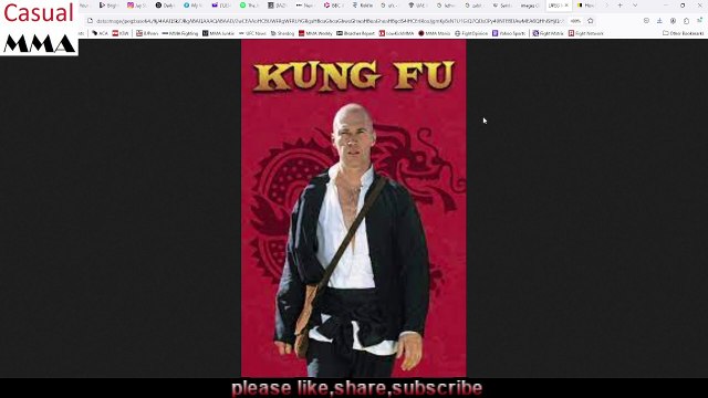 Zabit Wushu Sanda Kung Fu flow state