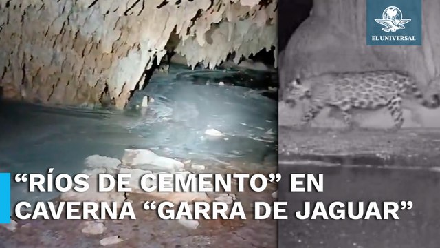 Reportan “ríos de cemento” en acuífero de caverna “Garra de Jaguar” sobre tramo 5 del Tren Maya