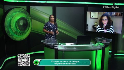 Por que os casos de dengue dispararam no Brasil