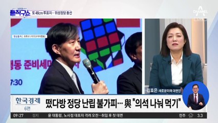 ‘조국당’ ‘송영길당’?…비례정당 난립 우려