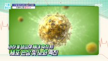 [HEALTHY] The link between free oxygen and aging?!,기분 좋은 날 240206