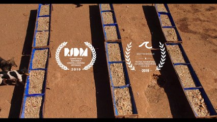 Mutts | movie | 2019 | Official Trailer