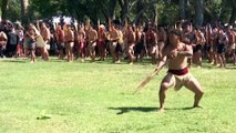 Thousands protest across NZ amid potential treaty changes