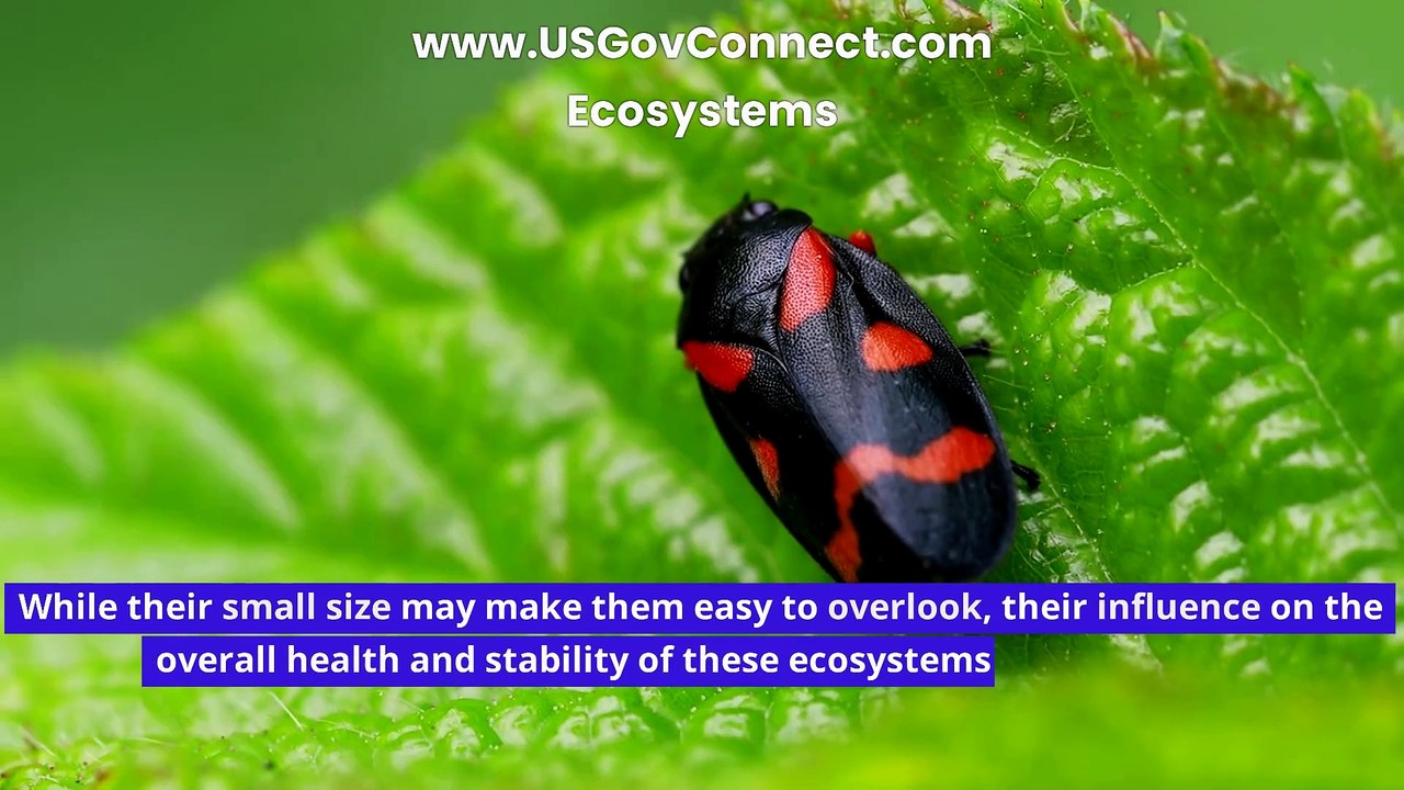 How are climate change and global warming affecting these tiny organisms?