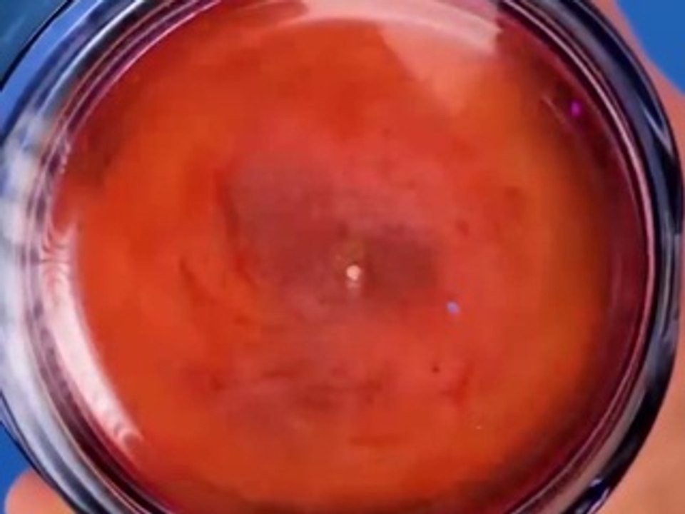 Make your Shorts a hit with ”POLAR, LA LA LIFE - BAILA”_ the top trending sound of the month!  (1)