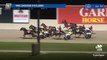 The Answer finishes third in the 2024 VHRC Caduceus 3YO Classic at Melton