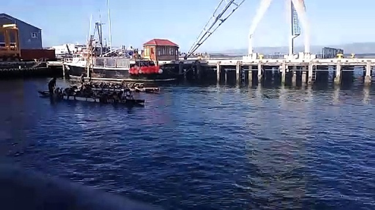 Practice Race