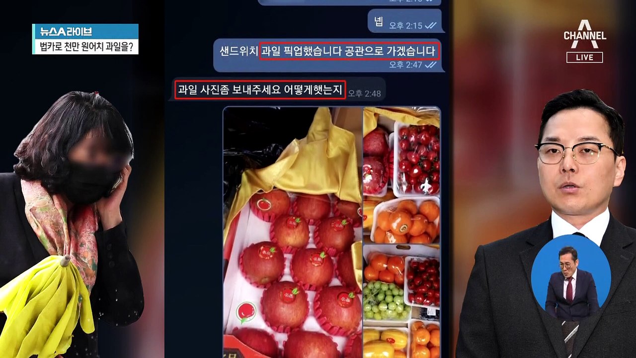 이재명 부부, 법인카드로 과일 구입?
