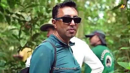 Day 11 of Self-Drive Road Trip Through Brazil Amazon River Luxury Cruise